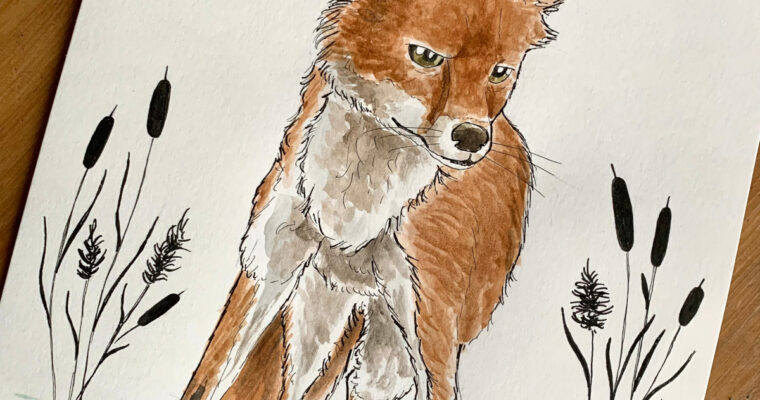 Fuchs im See